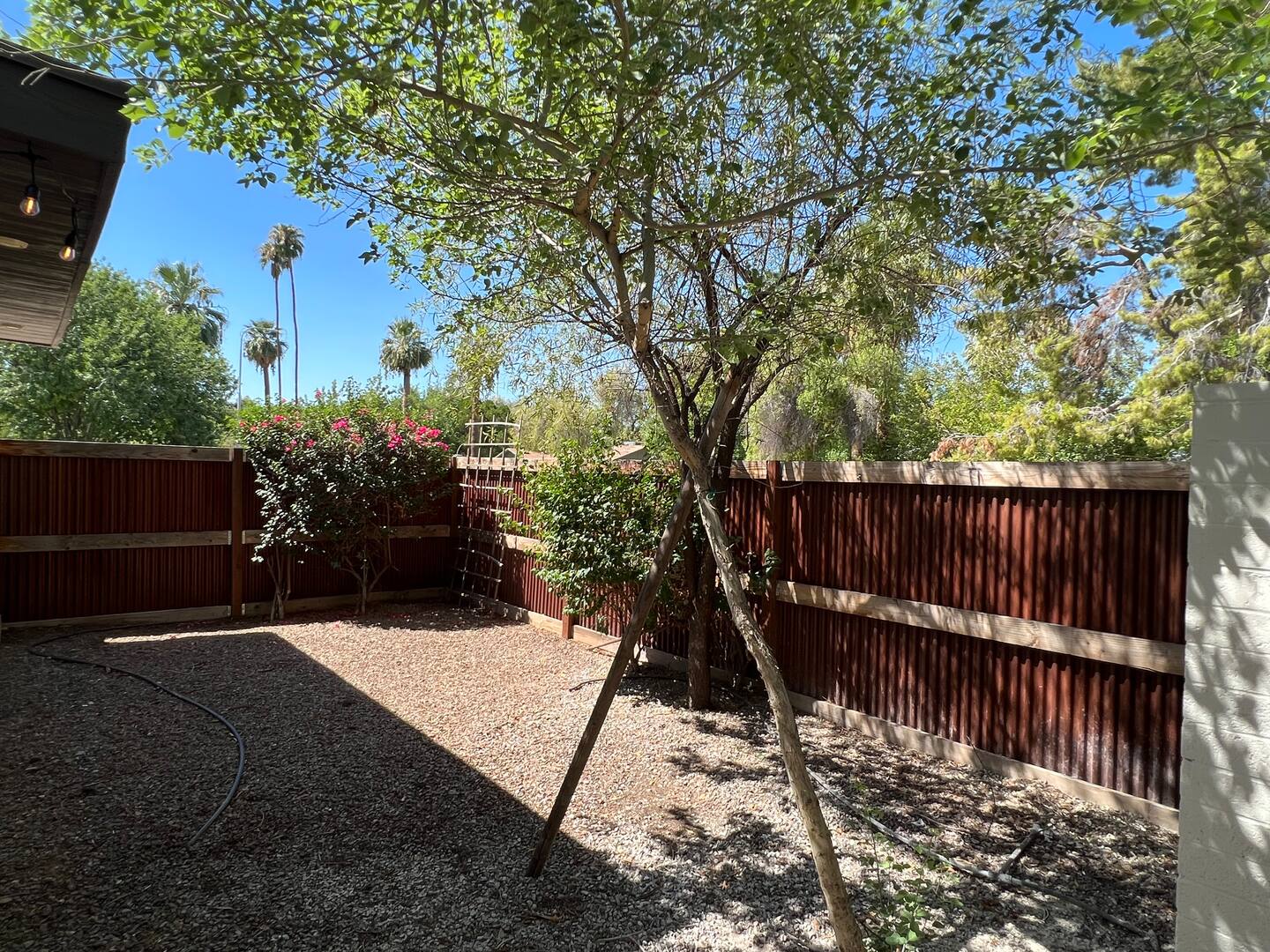 Backyard