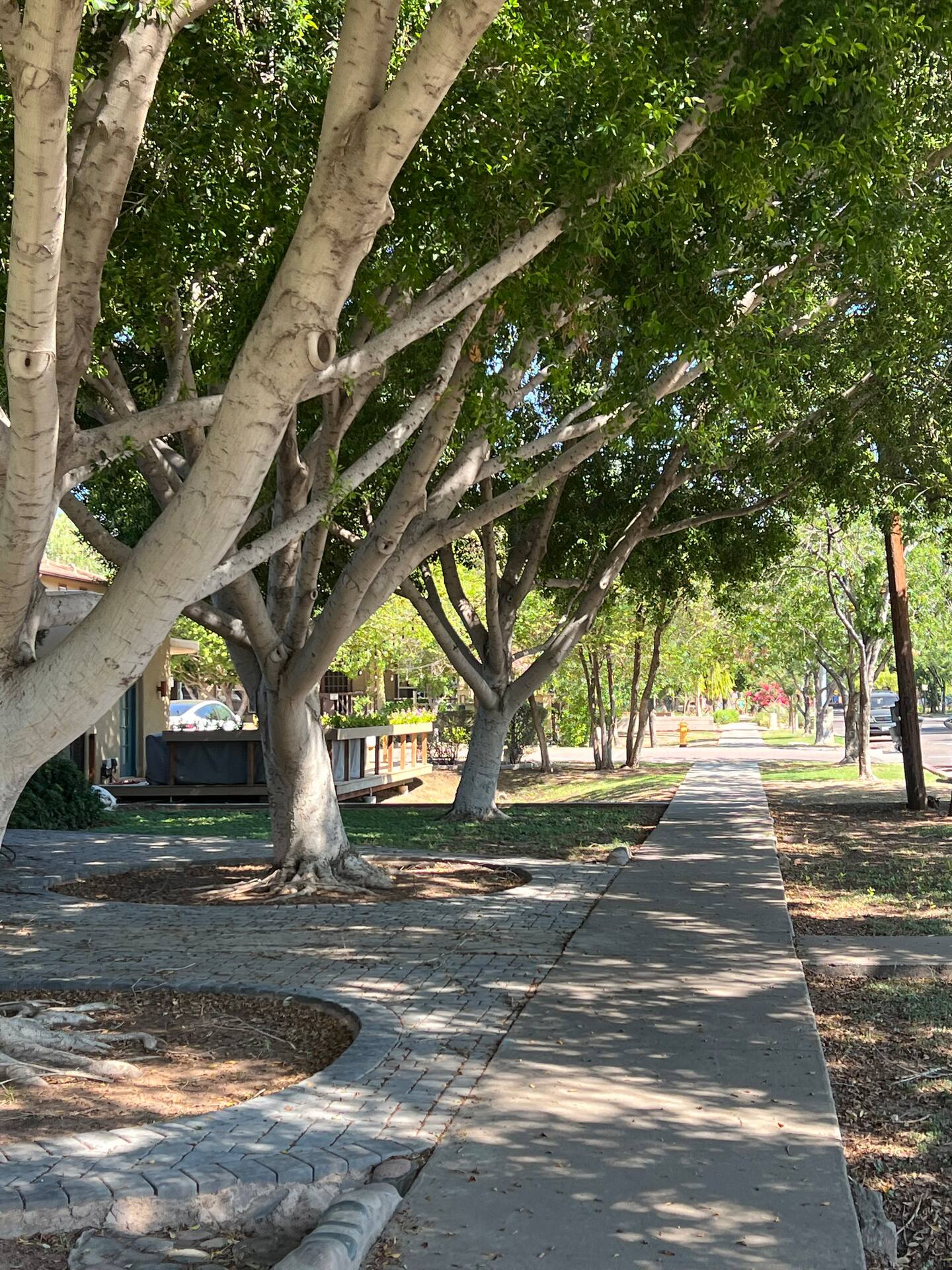 Downtown Tempe